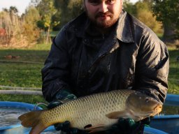 Výlovy 